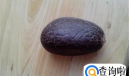 初学者如何打磨出好的象牙果