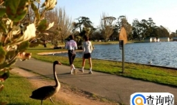 邦德大学风景图片（风光图片）