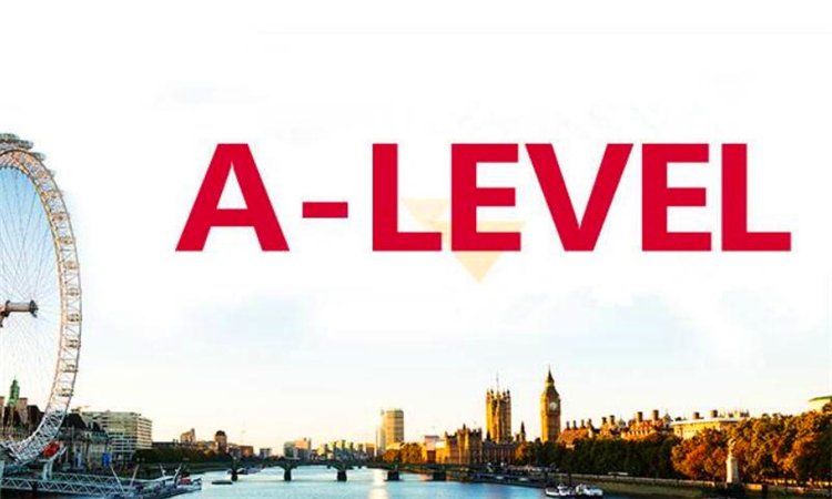 level是什么意思