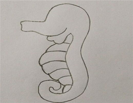 海洋生物简笔画