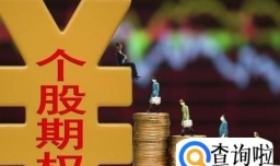 个股期权的参与条件是什么