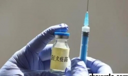 被自己的猫咪咬出血了怎么办