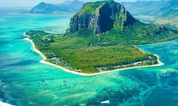 为什么有的人总是感情用事，而有的人总是行事过于理智？