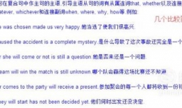 名词性从句用法详解及名词性从句专项练习