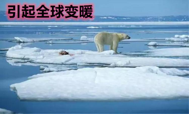 二氧化碳的危害有哪些