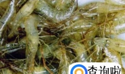 虾饺子馅做法大全