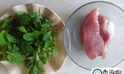 薄荷瘦肉汤的做法