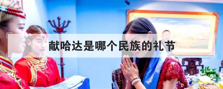 献哈达是哪个民族的礼节