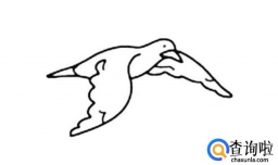 海鸥简笔画怎么画