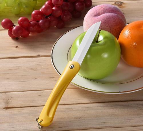 熟食可以带上飞机吗