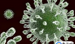 小儿轮状病毒感染的治疗