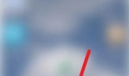 停保手续怎么办