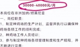 月薪4万招场长去非洲养鸡公司回应