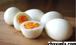 减肥的人能不能吃蛋黄