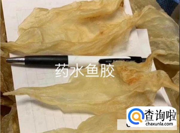 如何辨别鱼胶真假