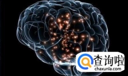 脑溢血和脑梗塞的区别有哪些