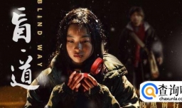 盲道是一部怎样的电影？