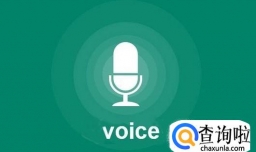 智能语音在非英语市场发展如何