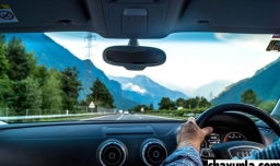 新手开车要注意什么