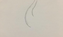 儿童画丹顶鹤怎么画