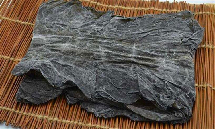 昆布是什么东西