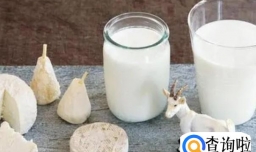 婴儿奶粉成人可以喝吗