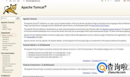 Tomcat下载安装经验教程