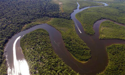 世界流域面积最大的河