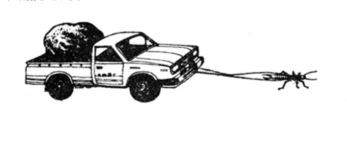 为什么昆虫能拖动比它大几倍的物体