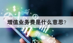 增值业务费是什么意思