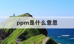 ppm是什么意思