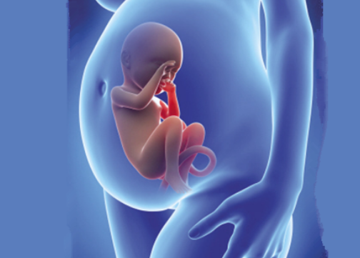 股骨长是什么意思