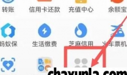 河北税务如何交医保