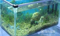 粘鱼缸打玻璃胶教程