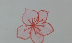 桃花简笔画怎么画，一学即会的步骤图