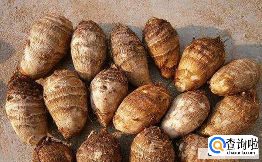 芋头的营养价值