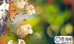 如何养成那些有利于改变自己的好习惯？