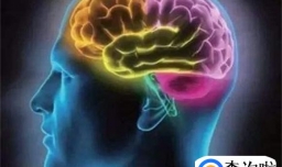 神经科学研究发现 身心联系深植于大脑的观点是否正确？