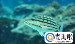 垂钓技巧 冬天钓深还是钓浅