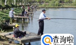 如何在流水中钓鱼