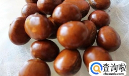 迁西板栗怎么辨别