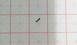 硬笔楷书多字怎样写好看？