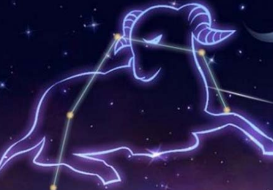 白羊座和什么座最配