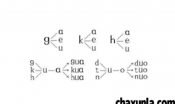 三拼音节有哪些