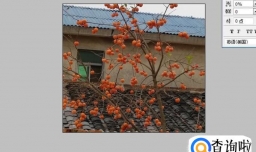 photoshop中如何提亮图片