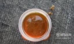 真蜂蜜为什么会变酸