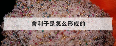 舍利子是怎么形成的