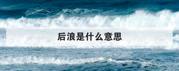 后浪是什么意思