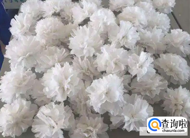 清明节制作手工花