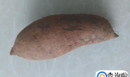 紫薯糯米饼的做法